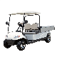 Competitive Price Good Design 4 Wheel Drive Car Golf Cart with Windshield