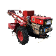 Factory Directly Sale High Quality Water Cooled Diesel Two Wheel Walking Tractor