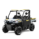  UTV Dune Buggy UTV-B4 Farm UTV for Sale