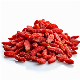 2023 New Organic Dried Fruit Red Wolfberry Goji Berry