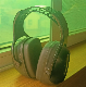 Professional High dB Anti Noise Earmuffs of Hearing Protection