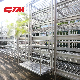 Gtm Mushroom Growing Shelves Equipment