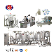 Full Automatic Milk Yogurt Production Line Dairy Machine Equipment