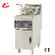  Kitchen Equipment Commercial Freestanding Electric Split Tank Chips Chicken Deep Fryer (DF-10L-2)