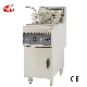  Kitchen Equipment Commercial Freestanding Electric Split Tank Chips Chicken Deep Fryer (DF-10L-2)