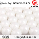 G25 Al2O3/Zro2/Aluminium Oxide/ Zirconium Oxide Ceramic Balls for Bearings and Valves