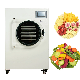 Small Mini Vacuum Commercial Freeze Drying Machine Food Household Home Freeze Dryer for Sale