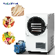 Small Mini Vacuum Commercial Freeze Drying Machine Food Household Home Freeze Dryer