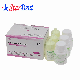 China Dental Material Rx Glass Ionomer Cement for Dental Filling