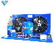  Shanghai Container Food Protection Cold Room Condensing Unit