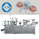 High Capacity Automatic Blister Packing Machine Pharmacy Capsule Tablet Blister Packaging Machine