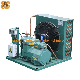 Hermetic Compressor Condensing Unit for Container Food Protection