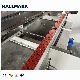  Hallmark Profile Machine Laminate Flooring Click Profile Machine Double End Tenoner Line