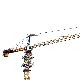  Famous Luffing Jib Tower Crane 12 Ton Lifting Capacity Slt160 (T5523-12) with High Quality