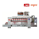 Xgm-Lzm8/10 Automatic Stone Litchi-Surface Processing Machine for Granite and Marble