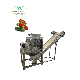 Cutomizing Industrial Green Bell Pepper Crushing Machine Breaking Equipment