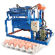 Low Investment Waste Paper Pulp Moulding Plant Small Egg Tray Making Machine for Sale