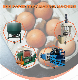 Automatic Egg Tray Carton Making Machine Production Line manufacturer