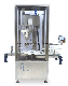 Automatic Powder Filling Machine with Weight Check and Rejecter