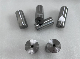 High Speed Steel Screw Main Punch and Die Set for Making Screrw