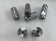  High Speed Steel Screw Main Punch and Die Set for Making Screrw