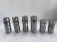  Screw Manufacturing Products Main Die Heading Die for Making Fastener