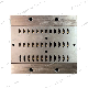 Steel Mold Extrusion Die for Extruding Thermal Break Strips in Aluminum System Windows