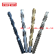 Drill Bits HSS Precision Twist Taper Length Drill manufacturer