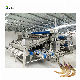 China Supplier Large Capacity Shrimp Grading Machine