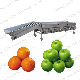 Commercial Persian Lime Citrus Fruit Size Sorting Machine Orange Grading Machine manufacturer