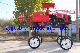  High Quality Vertical Air-Cooled Diesel Engine Self Propelled Spray Boom Sprayer with Luxury Cockpit