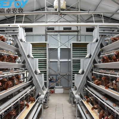 Automatic Poultry Equipment of Battery Chicken Cage for Layer Poultry Farm House