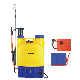 16L Electric Sprayer 2 in 1 Knapsack Lithium Battery Manual Sprayer for Agriculture manufacturer