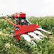 Small Walking Corn Harvester Front Mounted Wheat Paddy Rice Reaper Machine Harvesting Machine Rice Harvester