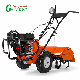  G-Carve 4 Stroke 196cc Petrol Back Rotary Tiller Gear Driven Farm Tillers