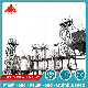  Good Selling Chicken Pellet Maker Production Line Animal Poultry Feed Machine