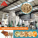  Hot Selling CE SGS Approved Hengfu Design 1-3t Animal Pellet Feed Plant