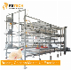 Factory Direct Design Automatic Poultry Farming Broiler Chicken Cage