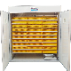  Hatching Poultry Chicken Eggs Hatcher Equipment Machinery 5000 Eggs Incubator 5% off
