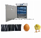 Chicken Egg Incubator Hatching Machine Poultry Equipment Eggs Solar Incubator manufacturer