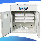 Automatic Goose Quail Duck Chicken Eggs Incubator Egg Hatching Machine