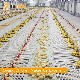 Practical broiler floor rearing chicken cage poultry farm equipment for sale manufacturer
