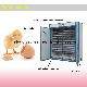 Automatic Poultry Chicken Duck Goose Egg Hatching Incubators manufacturer