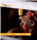 Farming Port Fully Automatic Poultry Layer Nipple Drinkers and Broiler Nipple Drinkers manufacturer