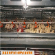 Poultry Farm/ Farming Chicken Layer Rearing Cage for Pullet Chicks Baby Chicken House