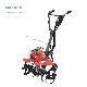 Mini Tiller, Walking Tiller 63cc manufacturer