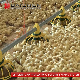 30000 Broiler Poultry Farm Chicken Raising System with Auto Control manufacturer