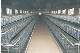 Environmentally Friendly Layer Cage Battery Layer Chicken manufacturer
