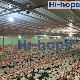 Complete Modern Broiler Automatic Chicken Poultry Farm Equipment manufacturer