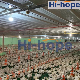 Complete Modern Broiler Automatic Chicken Poultry Farm Equipment